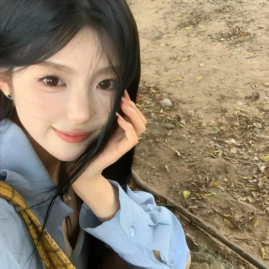 海豚伯尼2